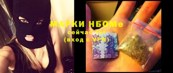 индика Козловка
