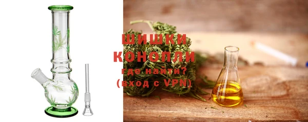 индика Козловка