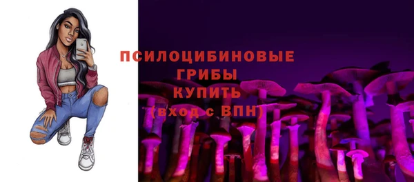 индика Козловка