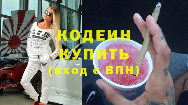 индика Козловка