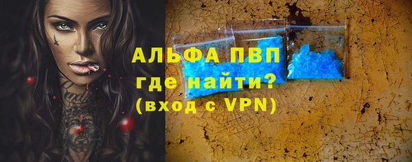 индика Козловка