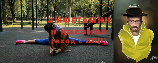 индика Козловка