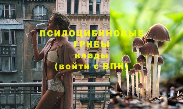 индика Козловка