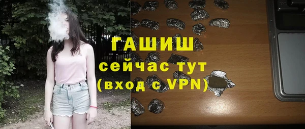 индика Козловка