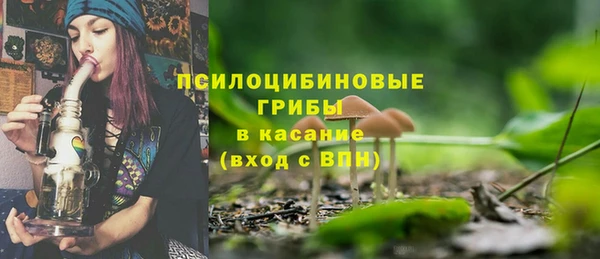 индика Козловка